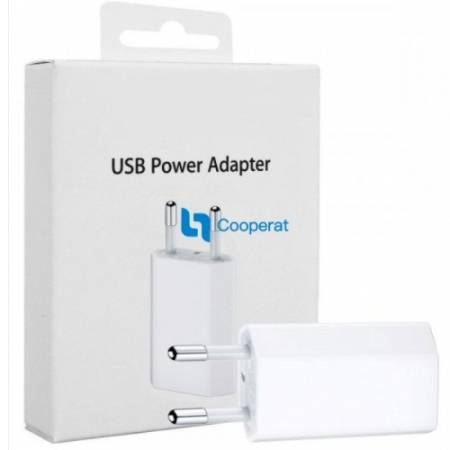 Adaptateur secteur USB Apple 5 W A1400 MD813ZM/A